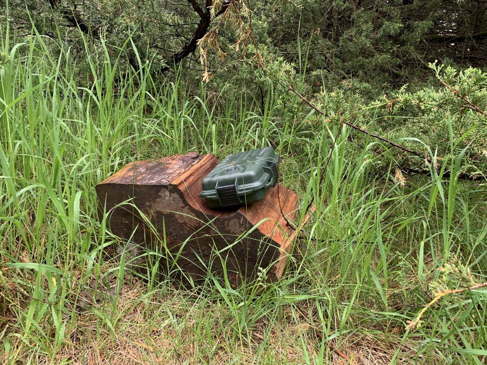 Dynamite Pete's Treasure Hunt.jpg